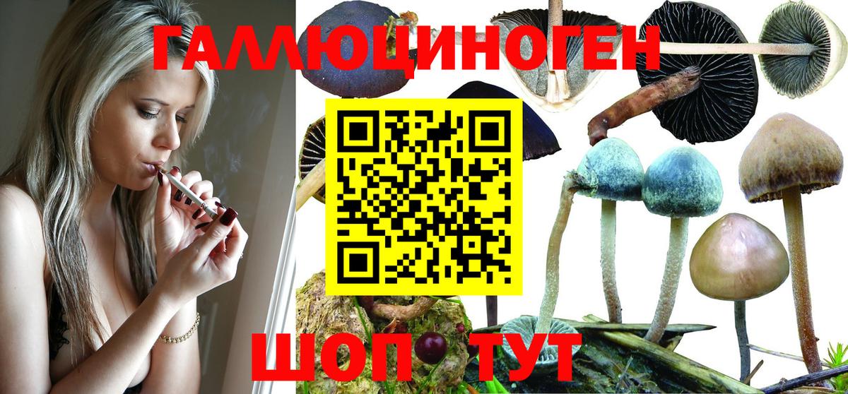 Псилоцибиновые грибы прущие грибы Видное