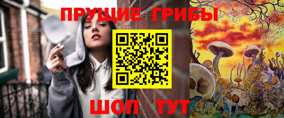 Галлюциногенные грибы Psilocybe  Вход с VPN  Видное  Псилоцибиновые грибы мицелий 